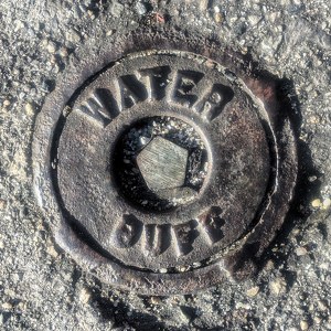 Fundraising Page: Paisley Rojagato